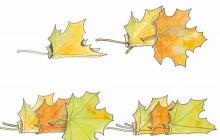 Красивий осінній вінок: майстер класи, поради, варіанти з фото Вінок з листя